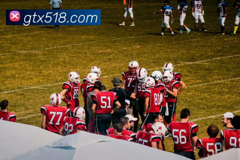 冠天下娱乐城官网平台生态图